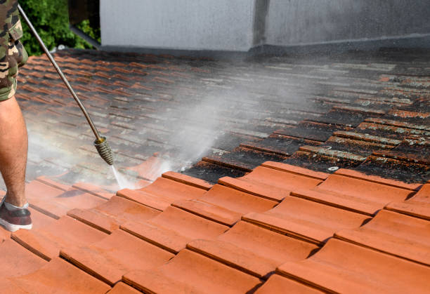 Best Deck Cleaning Services  in Fremont, MI