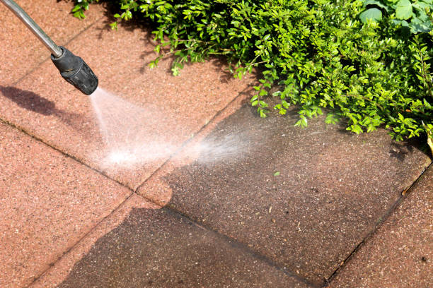 Best Deck Pressure Washing  in Fremont, MI